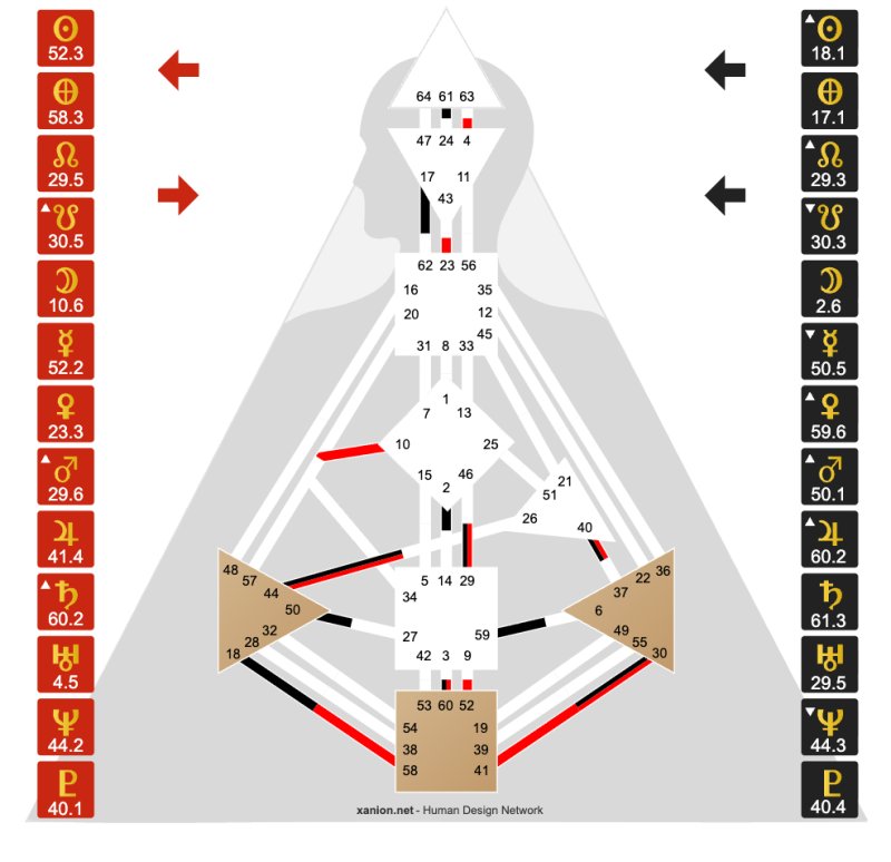 Ans Meijer Bodygraph
