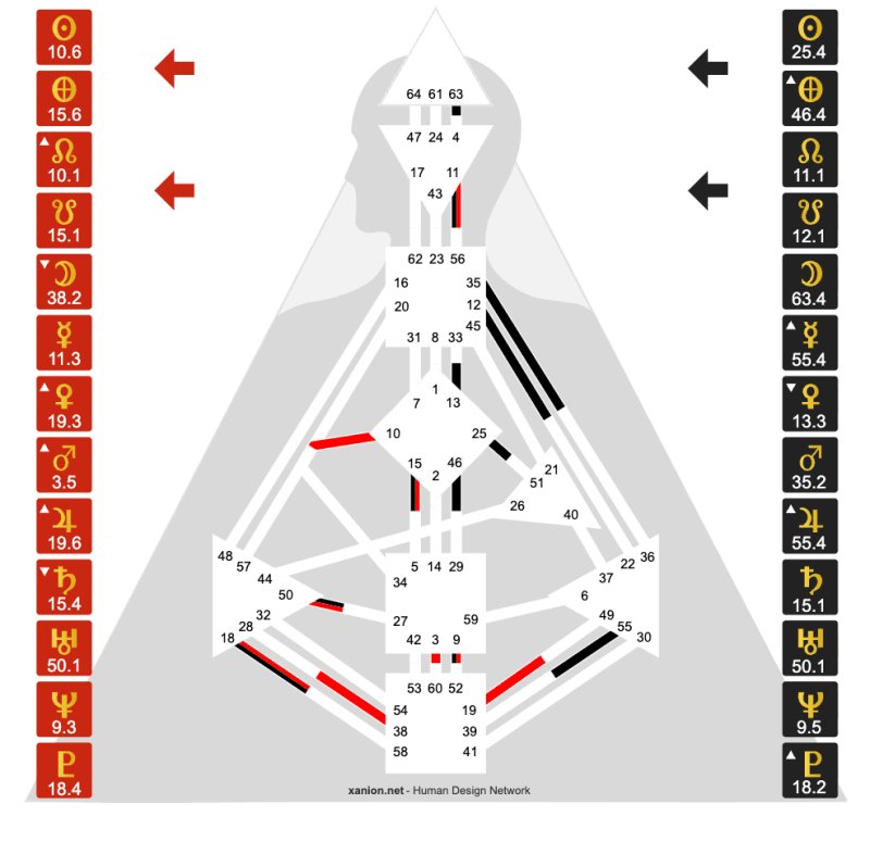 Dirk Nellens Bodygraph